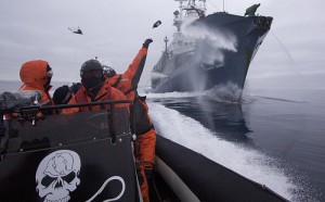 whale wars The whale wars between the Sea Shepherds and Japan's whaling fleet continue. The Ady Gil, a pursuit craft, was literally sawed in half by the Shonan Maru 2.