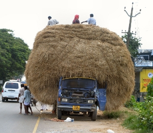 making hay Even if things look bleak in the short run, you can still make financial hay with a payday cash loan from Personal Money Store! (Photo: commons.wikimedia.org)