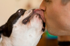 dog kiss Love knows no bounds (photo courtesy of creativecommons.org)
