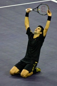 Novak Djokovic credit cards passion Novak Djokovic may need one of his credit cards to help pay the fines for his latest on-court outburst. (Photo: Wikipedia.org)