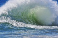 Can payday loans protect your credit history? Don't let the stormy economy wash away your credit.